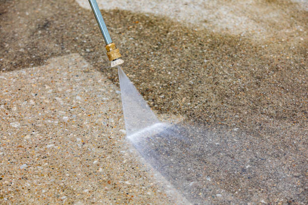 Professional Pressure Washing in Pisgah, AL